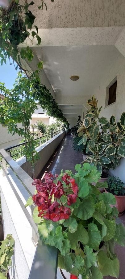 Villa Madani Durrës Buitenkant foto